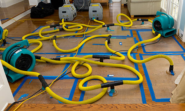 Professional Sewage Cleanup technician working in Trevor, WI